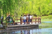 植物の宝庫により多くの彩りを添える中国国家植物園1.jpg