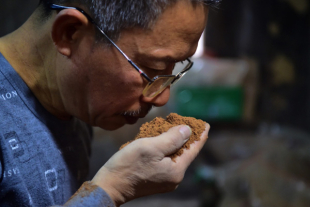 300年の伝統守るアラブ末裔のお香職人