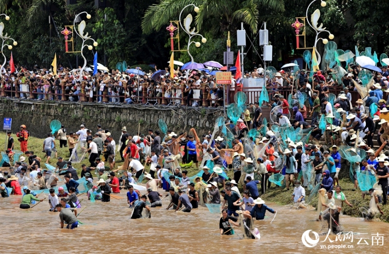 孟連傣族拉祜族佤族自治県の川で「神魚」のつかみ取りに参加した大勢の人々（5月3日撮影・陳永剛）。