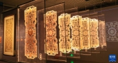 FOREIGN17840961075681P0V7DIV08.jpg